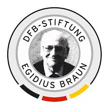 dfb stiftung logo